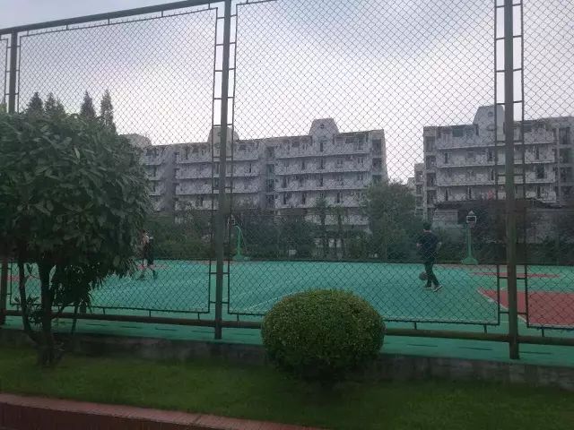复旦大学健美先生_复旦大学江湾校区健身房_复旦大学健身房