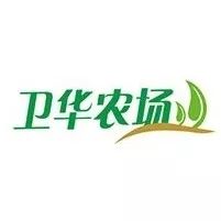 足球中场手球判罚规则是什么_中场手球判罚点球吗_足球中场手势