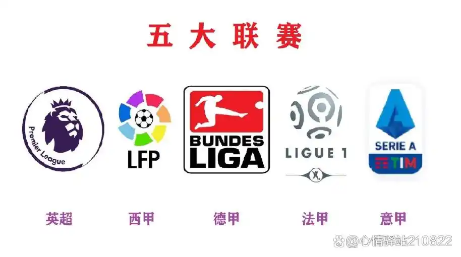 奥运会冠军足球a类赛事吗_奥运会足球赛是不是a级_a类赛事奥运足球冠军会获奖吗