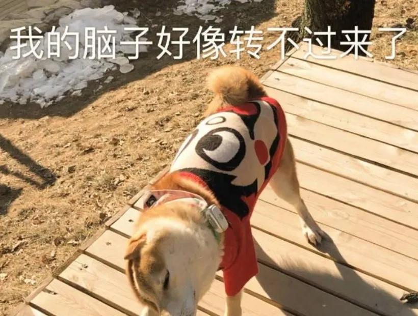 创意写作基本常识_写作常识性的知识大全_创意写作知识点