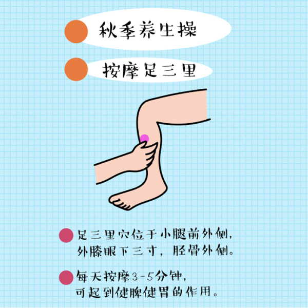 栗子增肌_栗子适合减肥吗_健身吃栗子