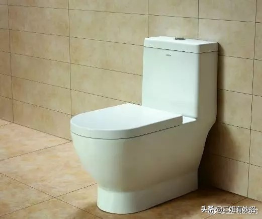 生活中怎样养_生活小窍门 养有_如何养活小技巧