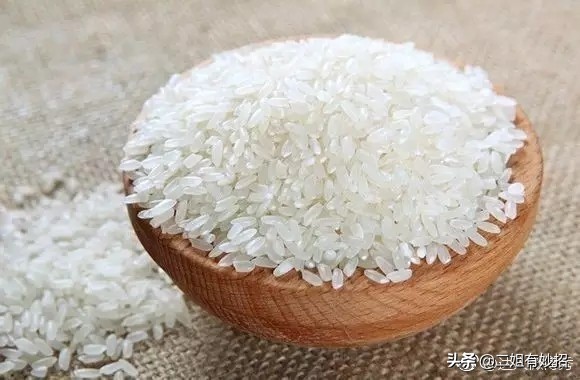 如何养活小技巧_生活小窍门 养有_生活中怎样养