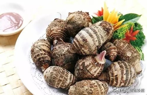 生活小窍门 养有_生活中怎样养_如何养活小技巧