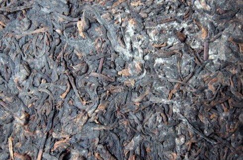 茶叶身体健康_茶叶对人体健康有哪些保健功效_茶叶对身体健康